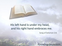 Song of Solomon 2:6